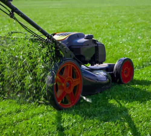 spring-lawn-care-2132455-09-df14429ef98948e69439952f6e7287fa